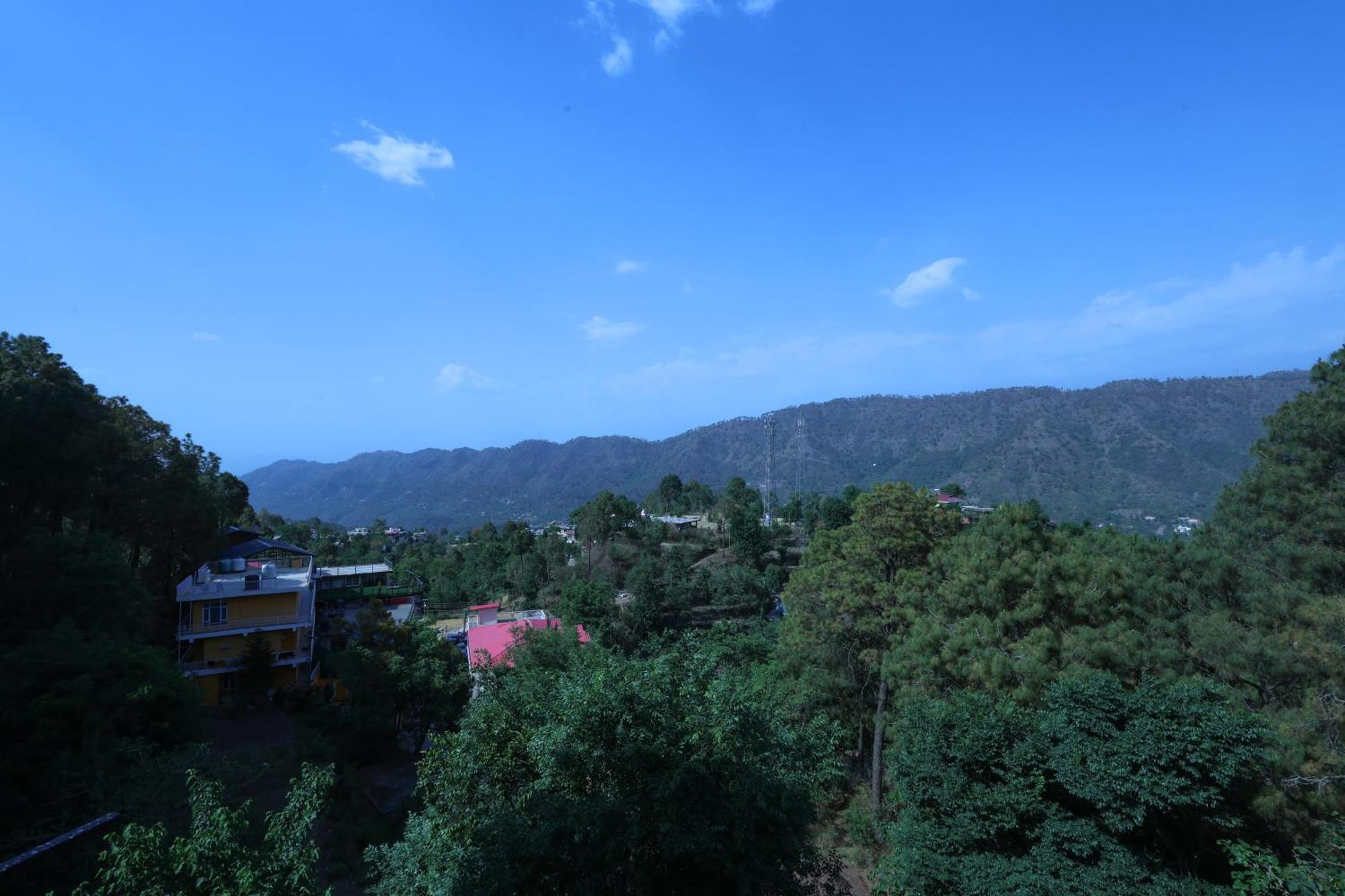 Cozy Heavenn 2Bhk I Kasauli I Mountain View 93O68I282O Daire Dış mekan fotoğraf